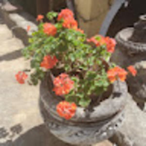 Meet your Posher, Michelle